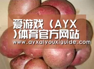 产品展示标题1