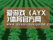 种植基地六(图1)