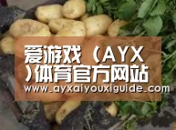 产品展示标题4