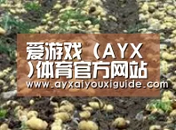 种植基地七