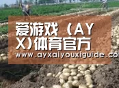种植基地七(图1)