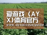 种植基地五(图1)