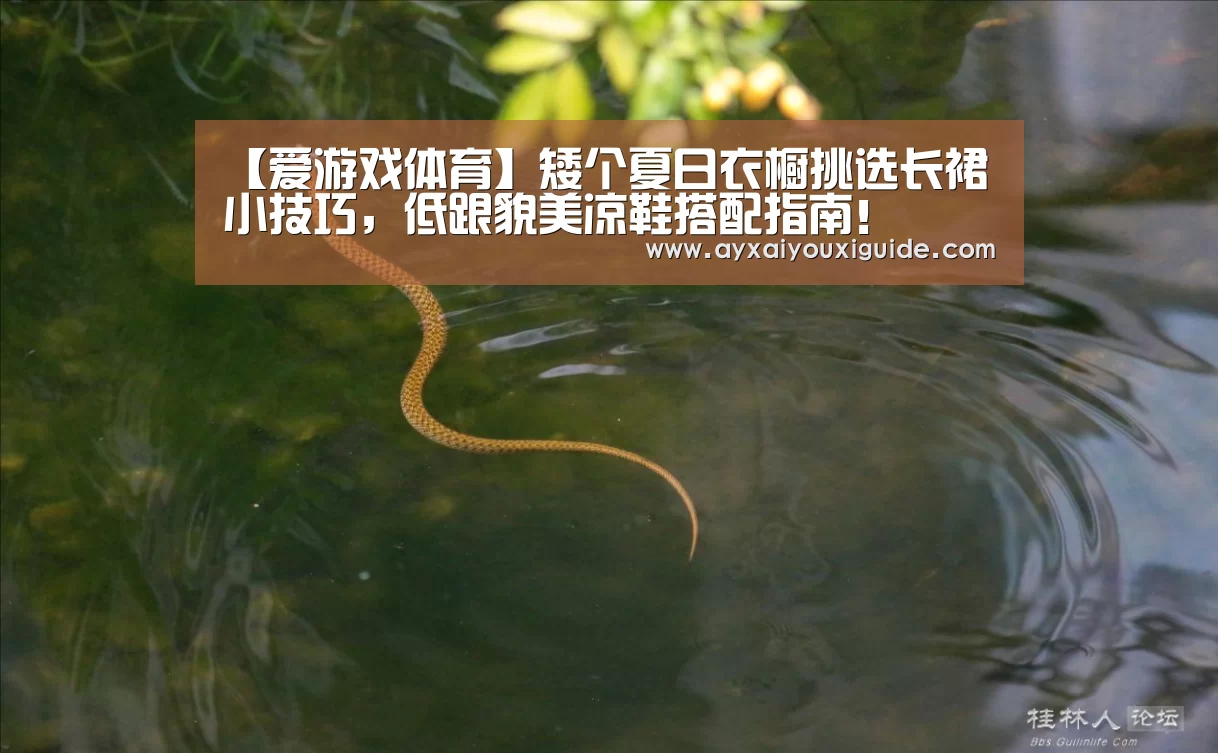 【爱游戏体育】矮个夏日衣橱挑选长裙小技巧,低跟貌美凉鞋搭配指南!(图2) 【爱游戏体育】矮个夏日衣橱挑选长裙小技巧,低跟貌美凉鞋搭配指南!(图2)