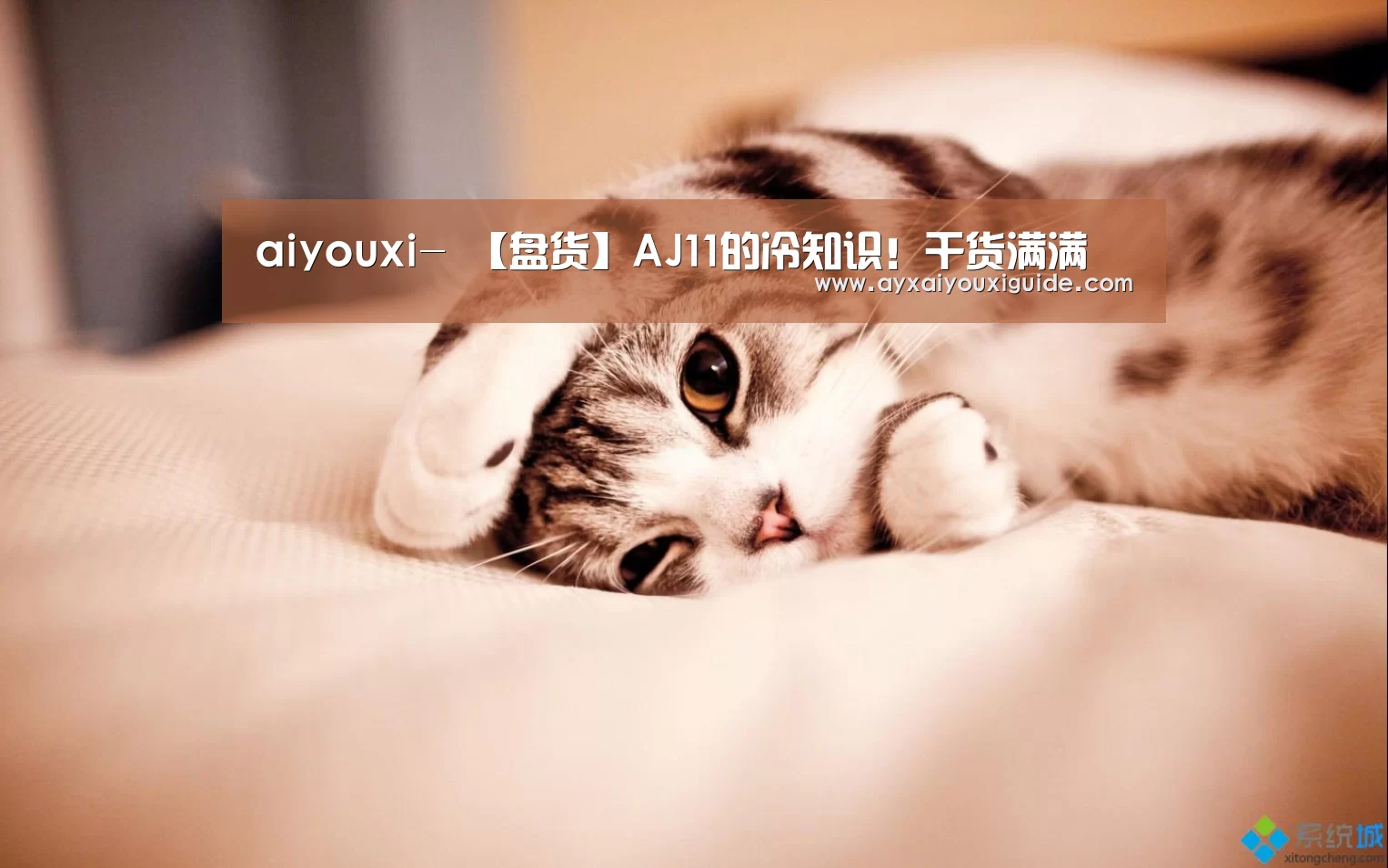aiyouxi-
【盘货】AJ11的冷知识!干货满满(图2) aiyouxi-
【盘货】AJ11的冷知识!干货满满(图2)